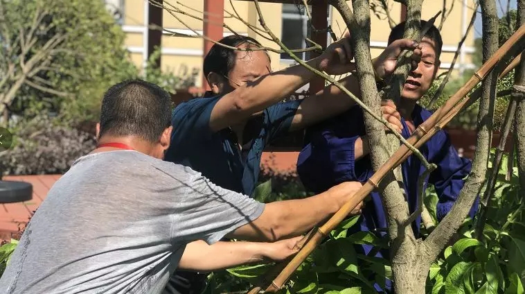 1607516102197683.jpg 8.jpg.jpg